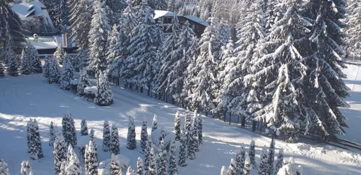 Hotel Miraj - Restaurant & Sauna & Biliard Poiana Brasov Exteriör bild