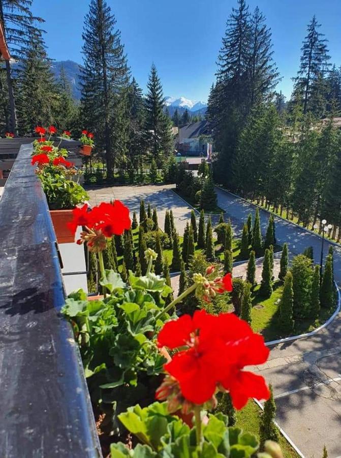 Hotel Miraj - Restaurant & Sauna & Biliard Poiana Brasov Exteriör bild